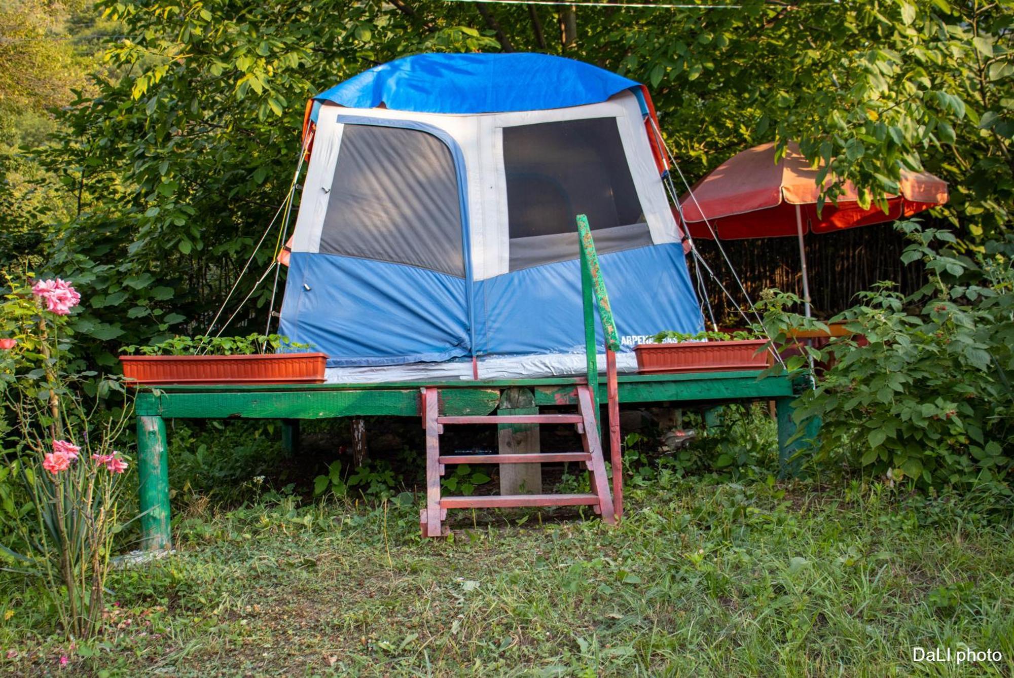 فندق Tereza Glamping Sanain المظهر الخارجي الصورة