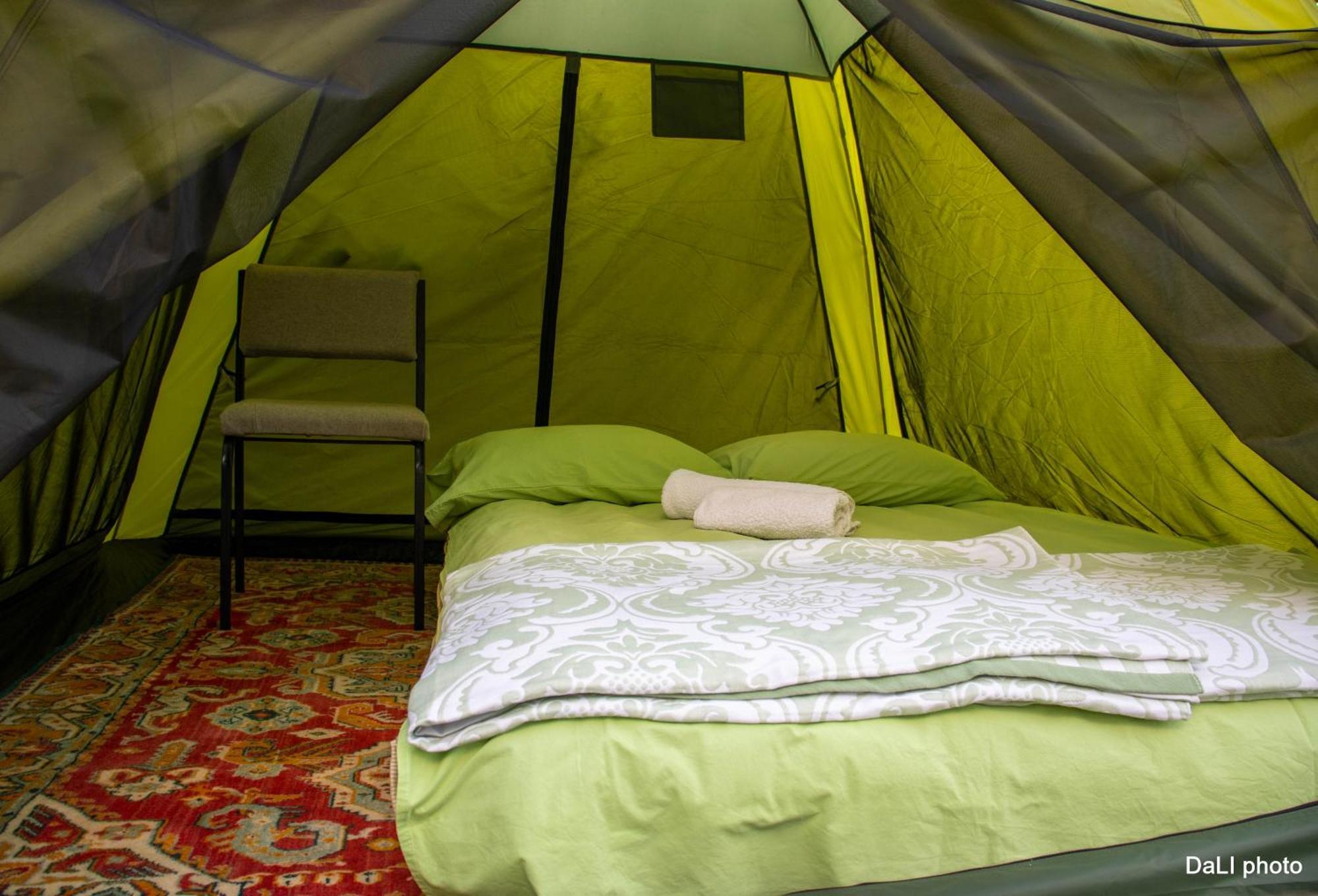 فندق Tereza Glamping Sanain المظهر الخارجي الصورة